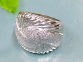 Stainless Steel Casting Ring