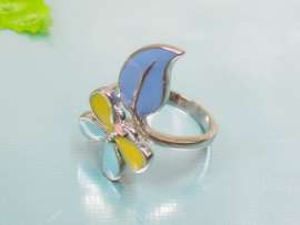 Stainless Steel Enamel Ring