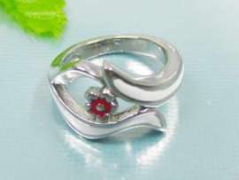 Stainless Steel Enamel Ring