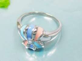 Stainless Steel Enamel Ring