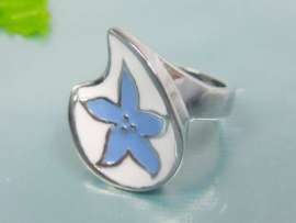 Stainless Steel Enamel Ring