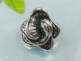 Stainless Steel Casting Ring